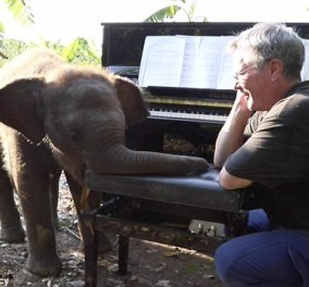 Υπέροχα στιγμιότυπα - Τυφλός ελέφαντας χορεύει στον ρυθμό της μουσικής ενώ ένας άντρας παίζει πιάνο (Φωτό & Βίντεο)