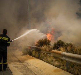 Κινέτα: Η αποτύπωση της καταστροφικής φωτιάς! Συγκλονιστικές εικόνες 