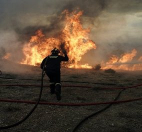 Πυρκαγιές στην Αττική: Οι νεκροί έφτασαν τους 79 - Πόσοι πυροσβέστες επιχειρούν σε Κινέτα και Ραφήνα