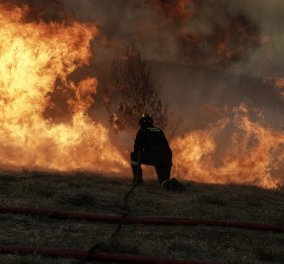 Ποιοι λόγοι οδήγησαν στην εξάπλωση της πυρκαγιάς στην Ανατολική Αττική (Βίντεο)