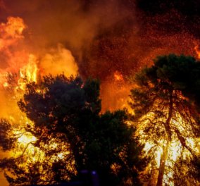 Επίσημη ενημέρωση: 80 νεκροί, 187 τραυματίες, δεκάδες αγνοούμενοι από τις πυρκαγιές στην Αττική