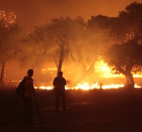 Πυρκαγιά στο Μάτι: Ο αριθμός των νεκρών είναι πλέον στους 97 - Ταυτοποιήθηκαν όλες οι σοροί