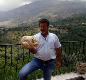 Μανιτάρι γίγας ανακαλύφθηκε για πρώτη φορά στην Κρήτη – Δείτε φωτογραφίες