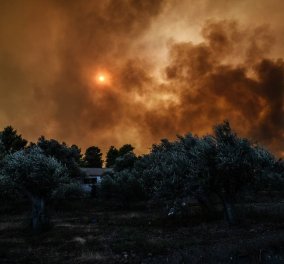 Εύβοια: Μαίνεται η πυρκαγιά - Δύο τα μέτωπα της φωτιάς