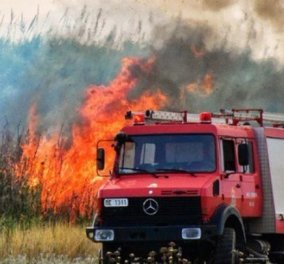 Κεφαλονιά: Τέσσερα ενεργά μέτωπα φωτιάς πλήττουν το νησί