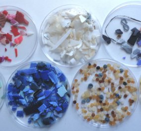Βρέθηκαν μικρά κομματάκια από πλαστικό σε ανθρώπινα κόπρανα - Τι αποκάλυψε η πρώτη διεθνής έρευνα