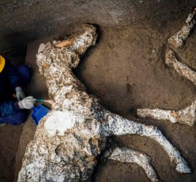 Ιστορική ανακάλυψη: Βρέθηκε απολιθωμένο άλογο 2.000 ετών, με χαλινάρια στα ερείπια βίλας στην Πομπηία -Φώτο   