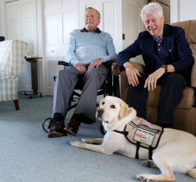 Συγκίνηση: Το πιστό σκυλί του Τζορτζ Μπους του Πρεσβύτερου δεν φεύγει από το φέρετρο του πρώην Προέδρου! (Φωτό)