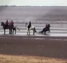 Καρέ - καρέ η στιγμή που το άλογο ρίχνει 9χρονο κορίτσι στο έδαφος - Του  επιτέθηκε  σκύλος
