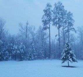 Εντυπωσιακό timelapse βίντεο: Ο χιονιάς περνάει και τα σκεπάζει όλα στην Βιρτζίνια των ΗΠΑ