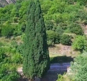 Κυπαρίσσι Ευρυτανίας: Το κεντρικό κυπαρίσσι του χωριού, η ιστορία & το απέραντο φυσικό κάλλος (Βίντεο)