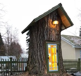  Ο κορμός δέντρου ηλικίας 110 ετών που έγινε βιβλιοθήκη! You will love it!