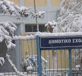 Ποια σχολεία θα είναι κλειστά λόγω της κακοκαιρίας «Τηλέμαχος» - Η λίστα των δήμων σε όλη την Ελλάδα