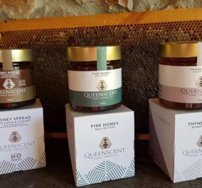 Made in Greece η Queenscent: Spread μελιού με κακάο και φουντούκια, πευκόμελο & θυμαρίσιο μέλι διατροφικοί θησαυροί στο τραπέζι μας
