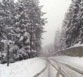 Καιρός: Η «Χιόνη» έρχεται με δριμύ ψύχος και χιονοπτώσεις ακόμα και στην Αθήνα