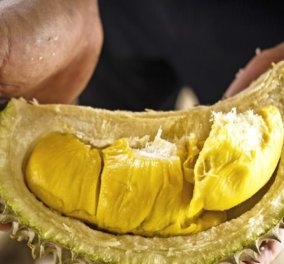 Το πιo βρόμικο φρούτο στον κόσμο το λένε Durian - 1.000 δολάρια για ένα καρπό! Γιατί παιδιά;