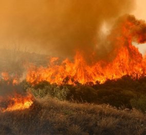 Μαίνεται η φωτιά στο δάσος της Στροφυλιάς – Καμμένα πάνω από 2.000 στρέμματα