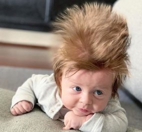 Θεούλης ο μικρούλης! Αυστραλεζάκι με μαλλιά βουνό! (φώτο)