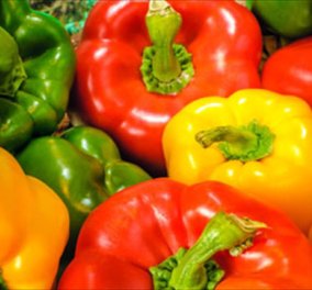 Πολύχρωμες πιπεριές: Ο πολύτιμος θρεπτικός θησαυρός της ελληνικής κουζίνας