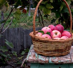 Ένα μήλο την ημέρα τον γιατρό τον κάνει πέρα… Ήξερες όμως ότι έχει δεκάδες άλλες χρήσεις; 
