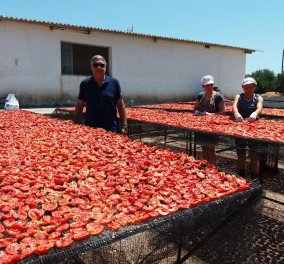Made in Greece η «Αρκαδιά»: Ελιές, λιαστές ντομάτες, πατέ, καρδιές αγκινάρας σε βαζάκια γυρνούν τις αγορές του κόσμου...