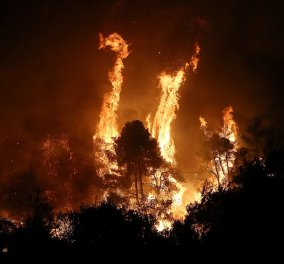 Κεντρικό θέμα στα διεθνή ΜΜΕ η μεγάλη πυρκαγιά στην Εύβοια - Εκαντοντάδες πυροσβέστες δίνουν μάχη με θηριώδεις φλόγες (φώτο)