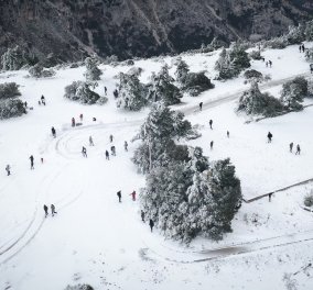 Βίντεο: "Ντύθηκαν στα λευκά" το Μέτσοβο & τα Τρίκαλα - Να λοιπόν τα πρώτα χιόνια του Χειμώνα  