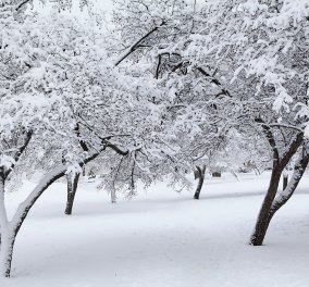 Ο μετεωρολόγος Καλλιάνος για χιονο-κακοκαιρία από Κυριακή: «Θα είναι η πιο σοβαρή μέχρι στιγμής» 