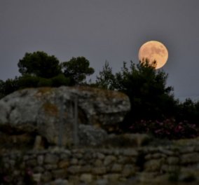 H Μαίρη Μακρογαμβράκη ατο eirinika : Η νέα σελήνη  ζητάει να αντικαταστήσετε το παλιό με νέο με όποιο κόστος - Λέοντες Σκορπιοί Ταύροι προσοχή 