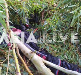 Ανεμοστρόβιλος στην Ηλεία: Βρετανίδα τουρίστρια τραυματίστηκε σοβαρά σε κάμπινγκ - Έπεσε πάνω της δέντρο (φωτό)
