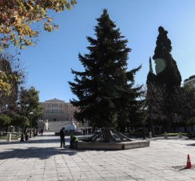 Επιτέλους Χριστούγεννα στην καρδιά της πρωτεύουσας – Το δέντρο που στόλισε ο δήμος Αθηναίων στην πλατεία Συντάγματος (Φωτό) 