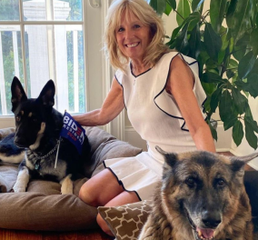 Η πρώτη φωτογραφία της Jill Βiden με τα σκυλιά τους στον Λευκό οίκο - To πρώτο Zoom  meeting με όλα τα αδέσποτα των ΗΠΑ