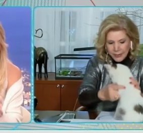 Λίτσα Πατέρα: Η στιγμή που ο γάτος της την δαγκώνει στον αέρα της εκπομπής! - «Κάτσε παιδάκι μου» (βίντεο)