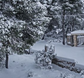Καιρός - ''Μήδεια'': Ισχυρές χιονοπτώσεις και σήμερα Τρίτη και άνεμοι έως 10 μποφόρ 