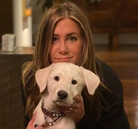 Έτσι περνάει τις Κυριακές της η Jennifer Aniston: Παρέα με τα πιο γλυκά πλάσματα! - Γνωρίστε τα 3 της σκυλάκια (φωτό)