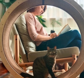 Την ονόμασαν 'loveseat' και είναι πολυθρόνα για δυο: Εσάς και τον γάτο σας - Οι designers έβαλαν τροχό με ροδάκια δίπλα στο κάθισμα σας! Εντυπωσιακό (φωτο) 