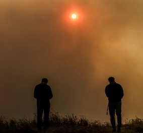 Χαρδαλιάς:  Μάχη με τις φλόγες στο Σχίνο - 20 χιλιάδες στρέμματα δάσους στάχτη για να καούν κλαδιά σε ελαιώνα -  Σε κατάσταση έκτακτης ανάγκης τα Μέγαρα  (φώτο)