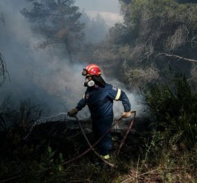 Αναζωπύρωση της φωτιάς στα Μέγαρα Αττικής - Πυροσβεστική: “Για προληπτικούς λόγους η απομάκρυνση κατοίκων από τους οικισμούς Παπαγιαννέϊκα & Καλκάνι