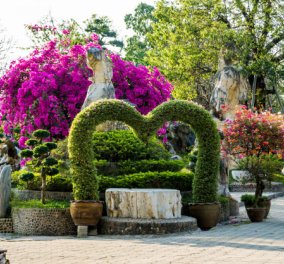 Σπύρος Σούλης: Δείτε πώς θα φτιάξετε μια παραδεισένια βεράντα! -Λουλούδια & χρώμα για το φετινό καλοκαίρι 