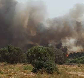 Ανεξέλεγκτη η πυρκαγιά στη Ρόδο: Εκκενώθηκαν χωριά - Προσπάθεια για αποκατάσταση της ηλεκτροδότησης - Το μήνυμα από το 112 (φώτο-βίντεο) 