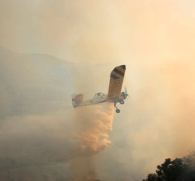 Ζάκυνθος: Δύο πυρκαγιές μέσα σε λίγη ώρα στα χωριά Λιθακιά και Μαχαιράδο - Έπεσε πυροσβεστικό αεροσκάφος - Σώος ο πιλότος (βίντεο)