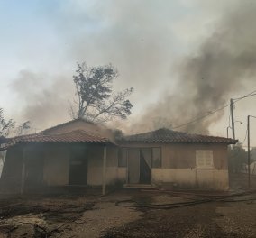 Φωτιά στην Αρχαία Ολυμπία: Νέα αναζωπύρωση στη Νεμούτα - οι φλόγες καίνε σπίτια - Εκκενώνεται η Αχλαδινή (φωτό & βίντεο)