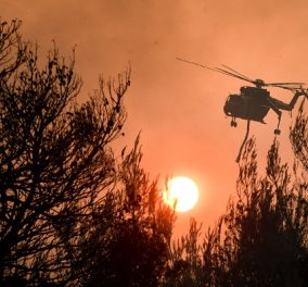 Πυρκαγιές: 9 τραυματίες από το μέτωπο της Βόρειας Αττικής & 11 από τη φωτιά στη Βόρεια Εύβοια - διασωληνωμένοι 2 πυροσβέστες (βίντεο)
