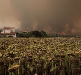 Βιβλική καταστροφή στην Εύβοια -  Προσπάθεια απεγκλωβισμού πολιτών - Σοκάρουν οι εικόνες της χειρότερης πυρκαγιάς του αιώνα (φώτο-βίντεο)