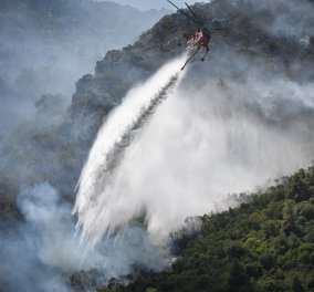 Πυρκαγιές - η επόμενη μέρα στην Αττική: Εικόνες καταστροφής από το πέρασμα της φωτιάς - περιπολίες στα καμένα (φωτό & βίντεο)