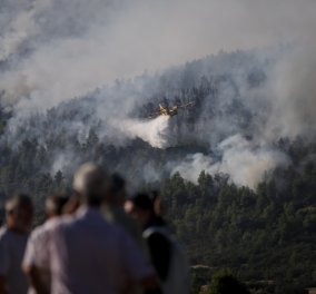Μάχη με τις φλόγες στα Βίλια - Τεράστιο το πύρινο μέτωπο - Εκκενώθηκαν οικισμοί & γηροκομείο (φώτο-βίντεο)