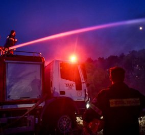 Ο Γιάννης Σουλιώτης γράφει γιατί η πυρκαγιά στα Βίλια δεν σβήνει: Το πυκνό πευκοδάσος χωρίς αντιπυρικές ζώνες…