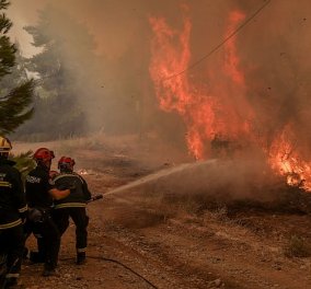 Βόρεια Εύβοια: Ολονύχτια μάχη με τις φλόγες για να μη φτάσει η φωτιά στην Ιστιαία - «Ανθρώπινο τείχος» από τους κατοίκους  (βίντεο)