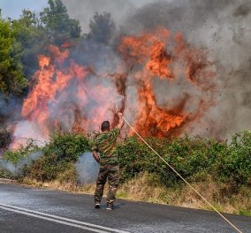 Σε θέση μάχης για τις αναζωπυρώσεις σε Ηλεία και Γορτυνία βρίσκονται οι πυροσβεστικές δυνάμεις - Άλλη μια νύχτα τρόμου (βίντεο) 