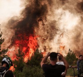 Live: Πύρινος όλεθρος - Όλες οι εξελίξεις για τις φωτιές στην Ελλάδα